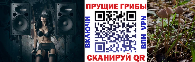 Псилоцибиновые грибы GOLDEN TEACHER  Белозерск 